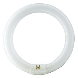 Tub Fluorescent, Tub Fluorescent Circular TL-E 22W, 865 -1, dioda.ro