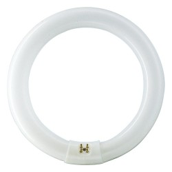 Tub Fluorescent Circular TL-E 22W