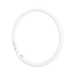 Tub Fluorescent, Tub Fluorescent Circular T5 32W -1, dioda.ro