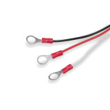 Acumulatori Baterii, BMS Echilibrare si protectie 2 baterii de 12v in serie BALANCER AKU PROTECT 24V -2, dioda.ro