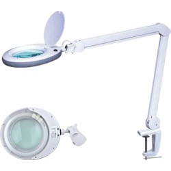 LAMP-5D-N1