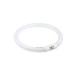 Lupă cu iluminare Lămpi de birou, bec cu neon LAMP-5D-N1-S piesa de schimb -1, dioda.ro