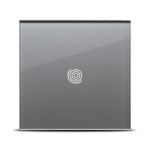 Corpuri de iluminat tehnice, Panou gri simplu 1T Sticla, aparataj touch PULSAR NS -2, dioda.ro