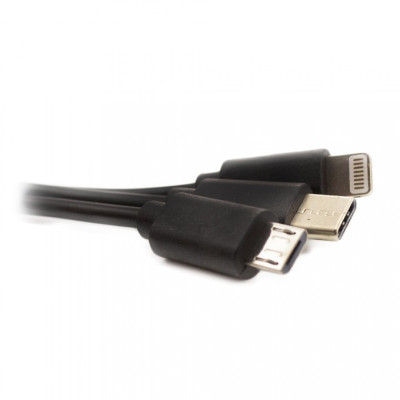 home, Încărcător universal cu încărcare rapidă Type-C - Micro-USB, iPhone - CARGUARD -10, dioda.ro