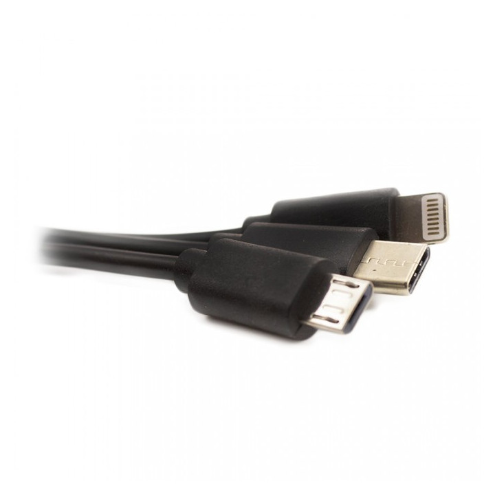 home, Încărcător universal cu încărcare rapidă Type-C - Micro-USB, iPhone - CARGUARD -10, dioda.ro