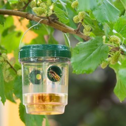 home, Capcana solara pt. insecte - suspendabila -1, dioda.ro