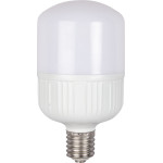 Bec LED 40W E40 6500K LED, Bec LED 40W E40 6500K -1, dioda.ro
