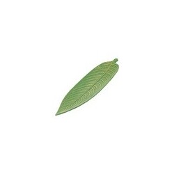 Platou frunza verde din lemn, Verde, 45x18 cm