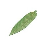 Casa Gradina, Platou frunza verde din lemn, Verde, 45x18 cm -3, dioda.ro