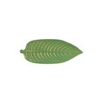 Casa Gradina, Platou frunza verde din lemn, Verde, 45x18 cm -3, dioda.ro