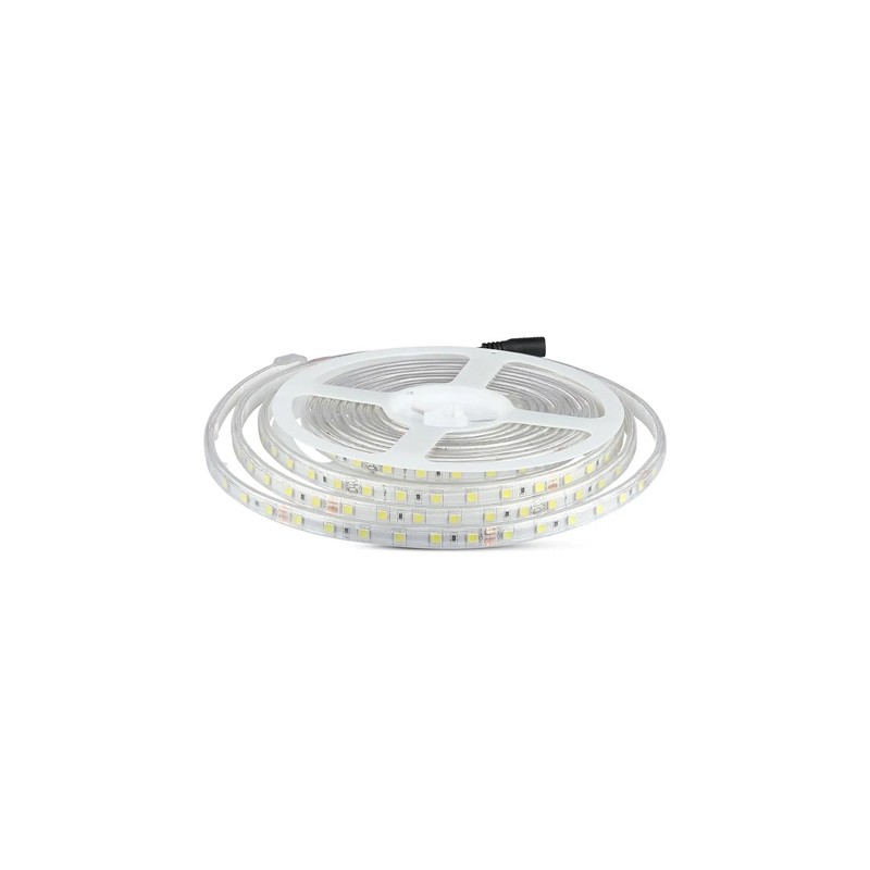 BANDA LED SMD5050 24V 60LED/M 6400K IP65 5M Interne, BANDA LED SMD5050 24V 60LED/M 6400K IP65 5M -1, dioda.ro