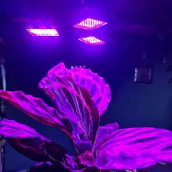 Lampi Iluminare, Lampa 108 LED pentru cresterea plantelor : soluția perfectă pentru plantele tale -8, dioda.ro